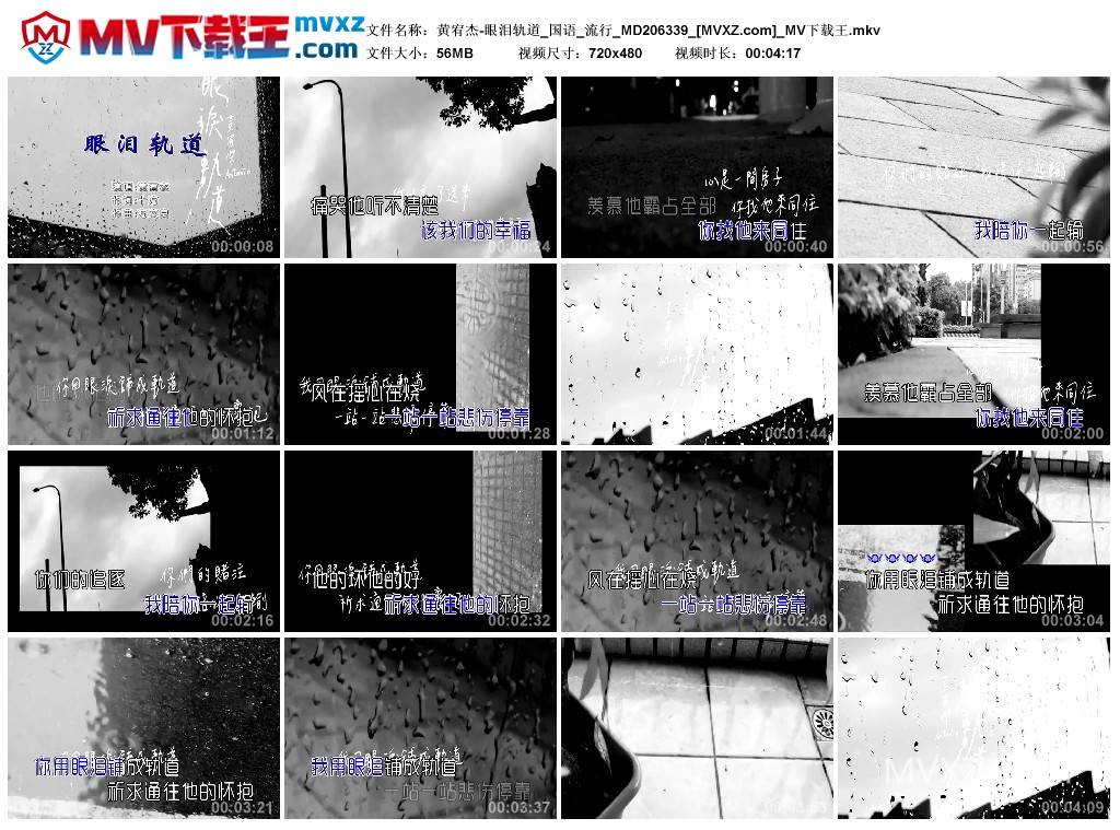 黄宥杰-眼泪轨道_国语_流行_MD206339